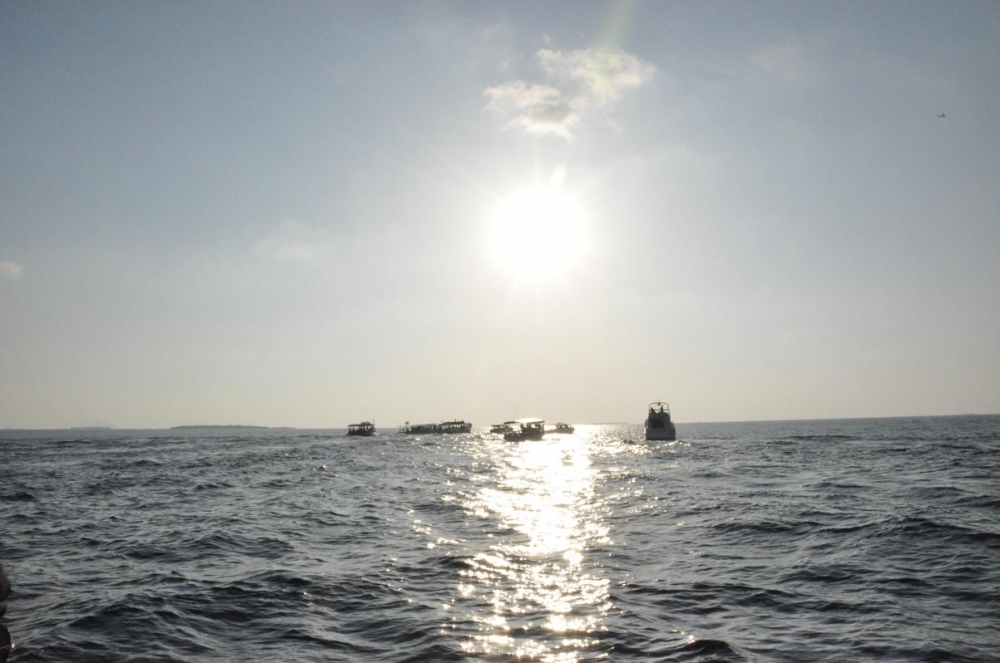 คั่นด้วยภาพ เขาพาไปดู sunset with dolphins ครับไม่ค่อยได้เห็นปลาสักเท่าไหร่ที่เห็นเนี่ยเรือเยอะเหมือ