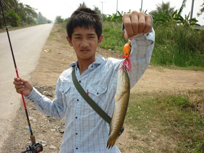 อ้ายแจ๊ค อีกแล้ว :grin: