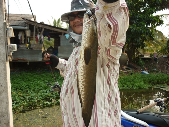 [q][i]อ้างถึง: Fish-On posted: 31-03-2555, 22:35:55[/i]

+ :cheer: :cheer: :cheer:[/q]
ขอบคุณคับ.