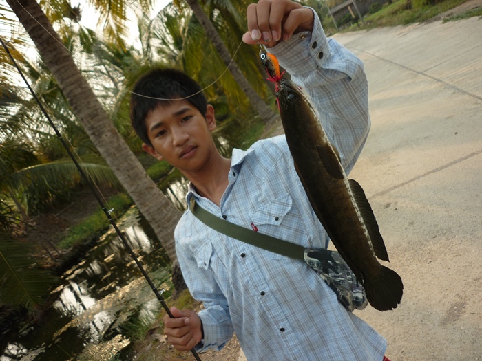 [q][i]อ้างถึง: เด็กสาย4 posted: 31-03-2555, 22:43:43[/i]

++++ :grin: :grin:[/q]
ขอบคุณคับ... :pr