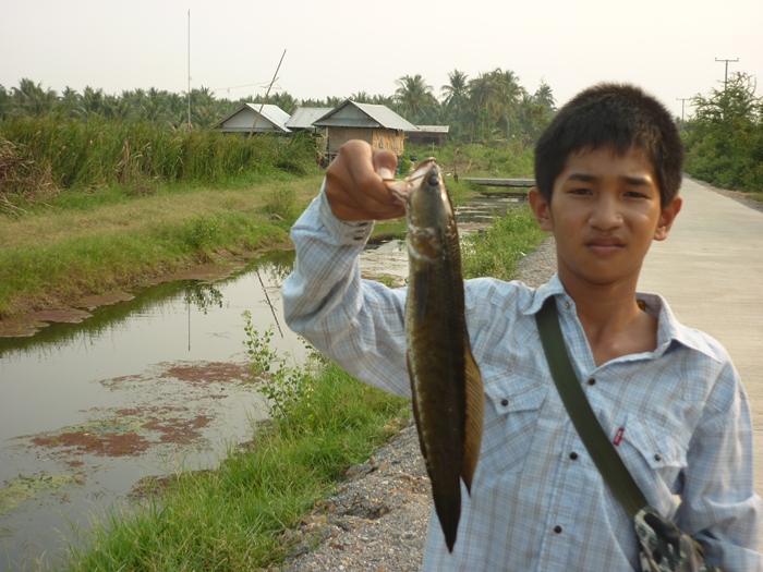 [q][i]อ้างถึง: ekka9 posted: 31-03-2555, 22:49:34[/i]

+1คับน้าก้อง ขอตามไปสะท้านทรวงด้วยคนคับ :ch