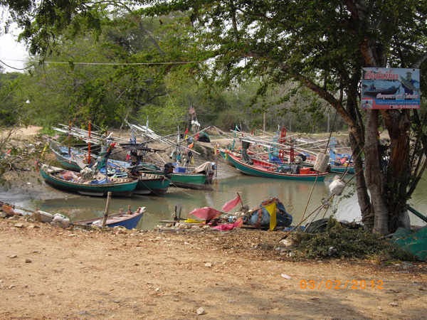 เก็บภาพบรรยากาศรอบ ๆ ครับในคลองจอดเรือน้ำแห้งเลย :smile: