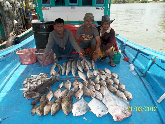 สามหนุ่มเนื้อทองกับผลงาน