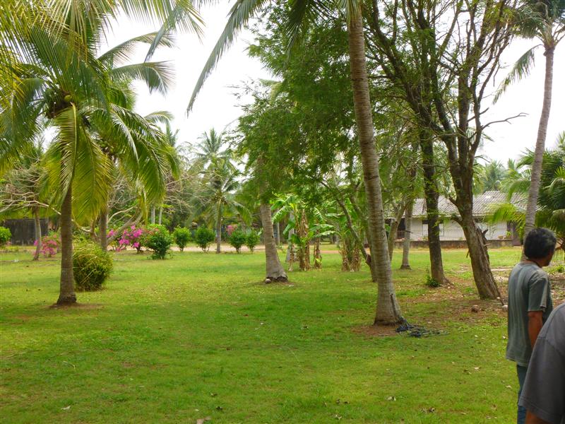 บรรยากาศรอบๆๆสถานที่ลงคับ ซึ่งที่นี่เป็นบ้านพักให้เช่าคับ