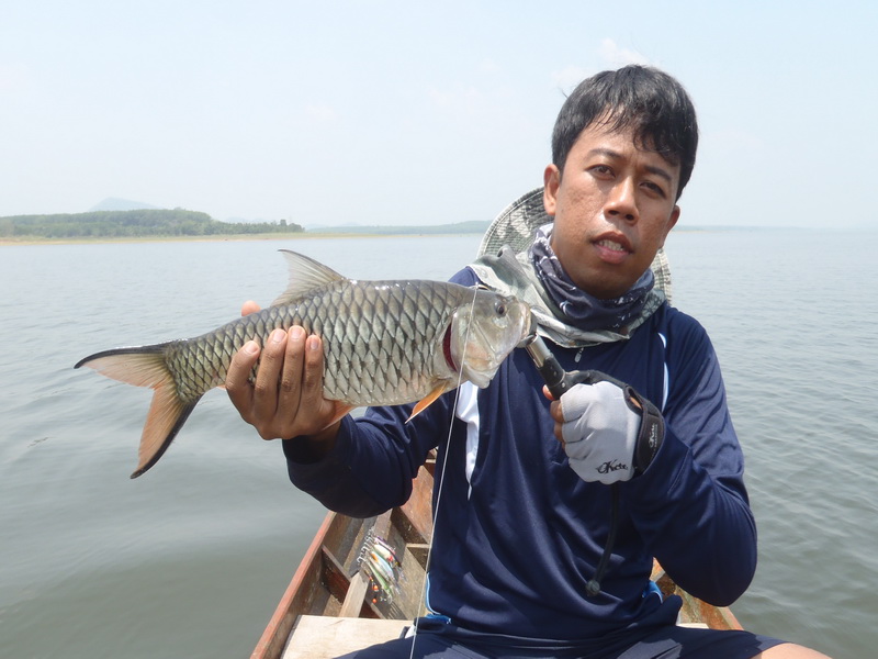 

     จัดไป 1 เเช๊ะ     :grin: :grin: :grin: :grin:





 :grin: :grin: :grin: :grin: :grin
