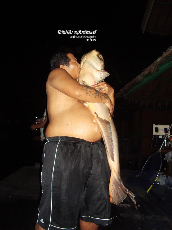 กอด!!!! 


เฮ้ยๆๆ น้าสุรเชษ ปลาบึก ไม่ใช่สาวๆ  :laughing: :laughing: :laughing:

