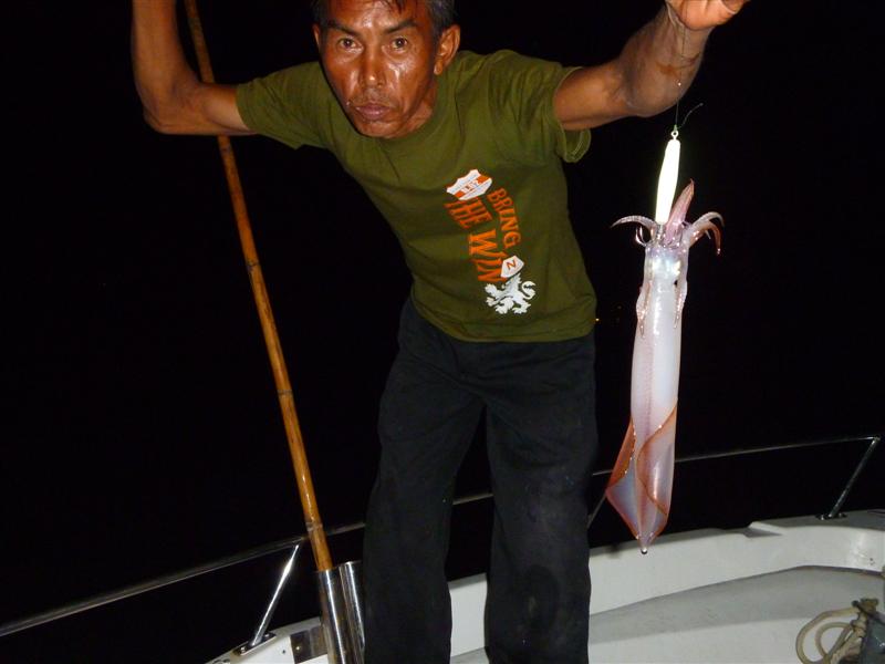 หมึกตัวยาวอีกแล้วคับ :laughing: :laughing: