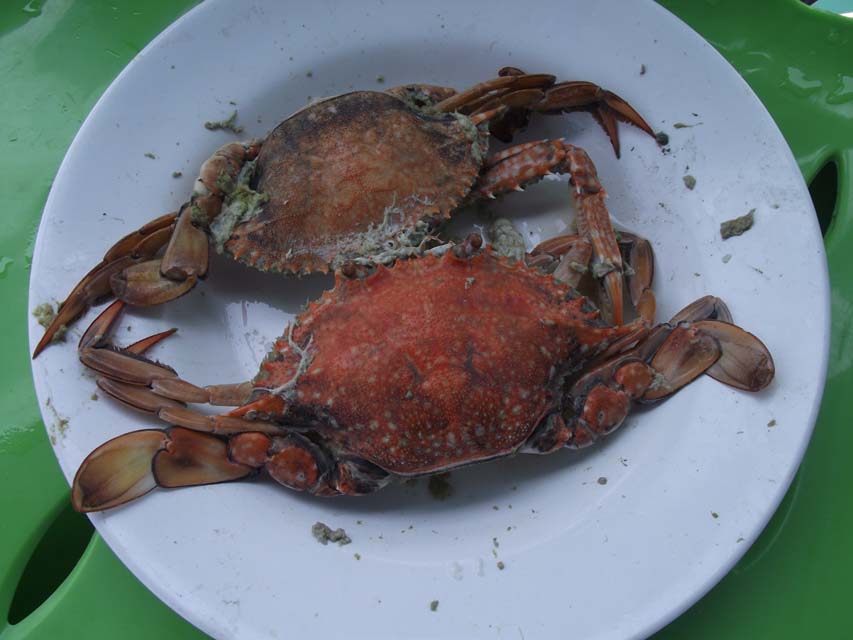ขาดแต่หอย     ปู  ปลา  กุ้ง  หมึก  เพียบกินไม่หมด   ผู้ปกครองเต็มทะเลบริจาคให้ครูยัน