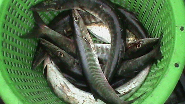 หัวเรือ
