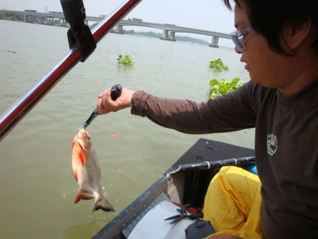 [q][i]อ้างถึง: amnart p. posted: 05-04-2555, 12:26:03[/i]

++ :cheer:[/q]



 :blush: :blush:ข