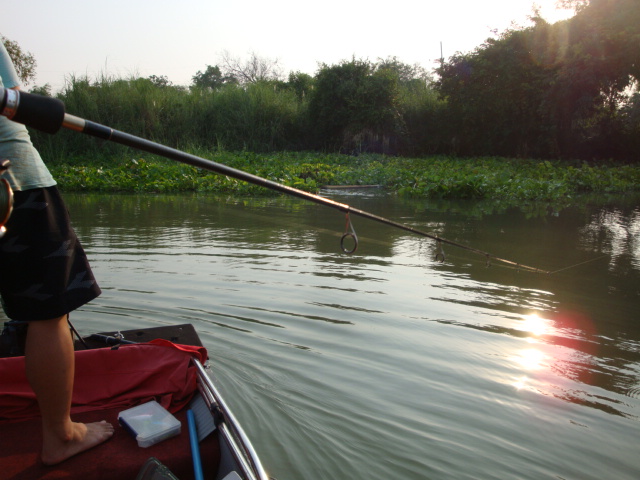  :laughing: :laughing: :laughing: :love: :love: :love: :love: