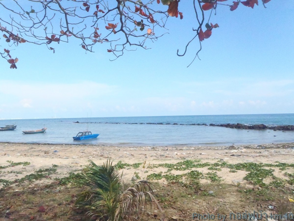 สภาพชายหาดวันนี้