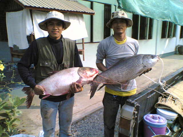 หัดลงเว็บครับแนะนำด้วย