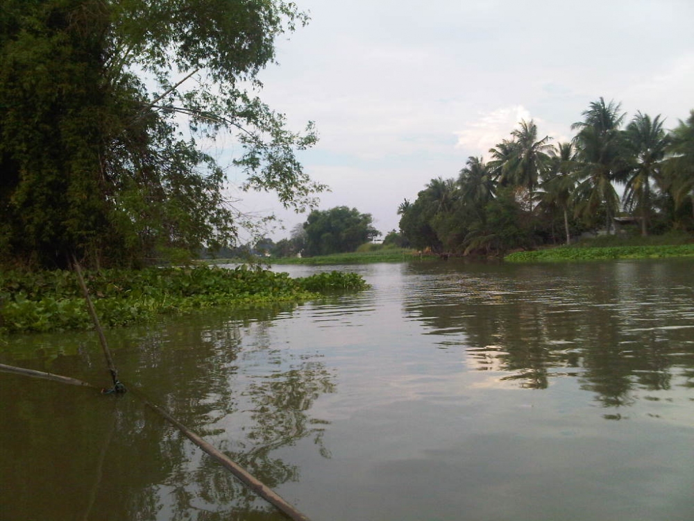 แม่น้ำท่าจีน สุพรรณบุรี สาธุ ปีนี้ท่วมได้แต่อย่าเยอะนะนะนะ ขนของเหนื่อยโครตๆเมื่อปีที่แล้ว  :grin: :