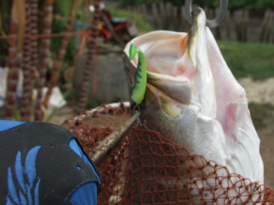 [b]หม่ำเหยื่อ อะไรดูดิ อิอิ [/b]  :ohh: :ohh: :ohh: :ohh: :ohh: :ohh: :ohh: :ohh: :ohh: :ohh: :ohh: