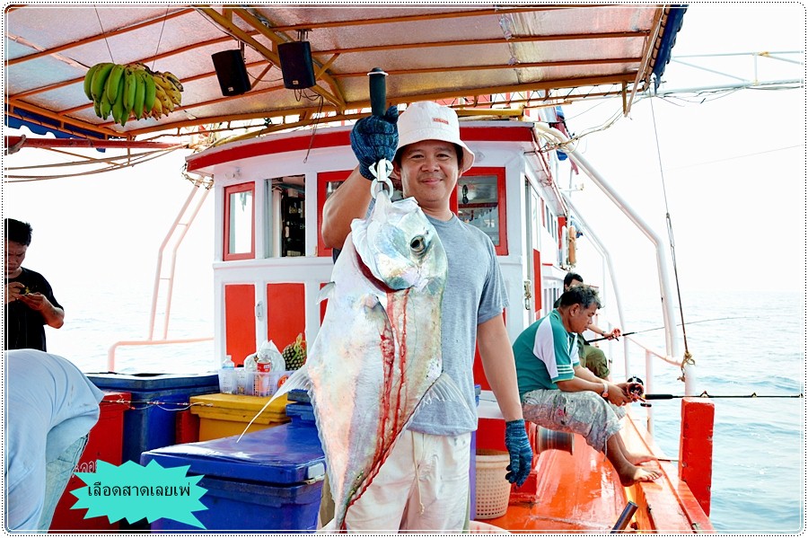 [q][i]อ้างถึง: kongfishing posted: 07-04-2555, 13:32:43[/i]

+1ตามชมคับ :umh: :umh: :umh: :umh: :u