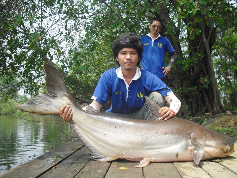 จัดให้ อีกสักหล่อ จัดให้คนข้างหลังนะ  :laughing: :cool: