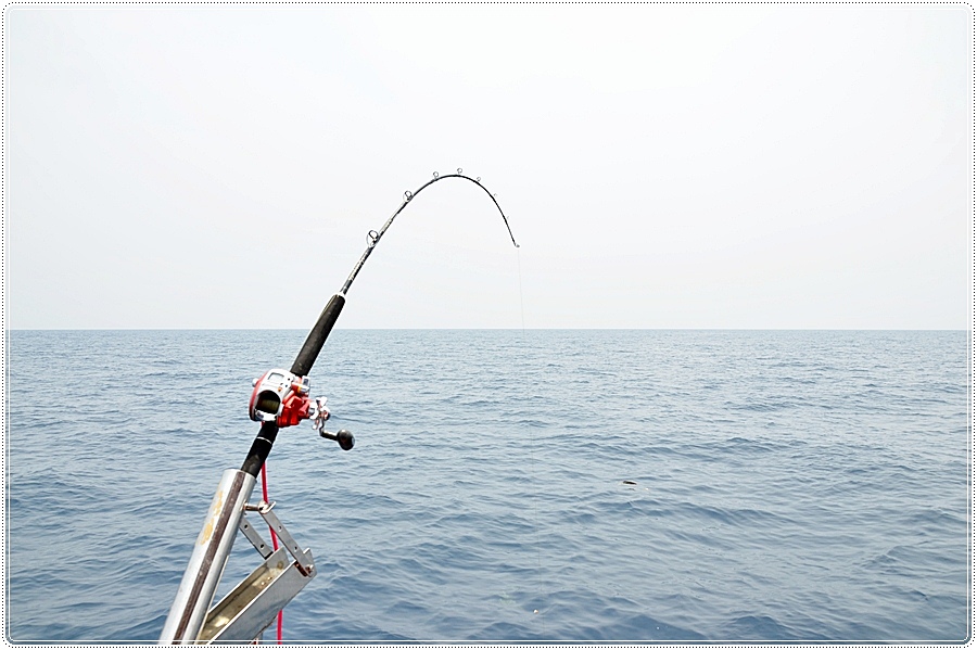 [q][i]อ้างถึง: teerafishing posted: 07-04-2555, 22:13:32[/i]

 :cheer: :cheer: :cheer: :cheer: :ch