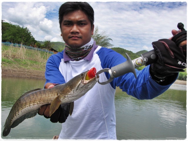 อีกรูปนึงนะ คับน้าๆ :grin: :grin: :grin: