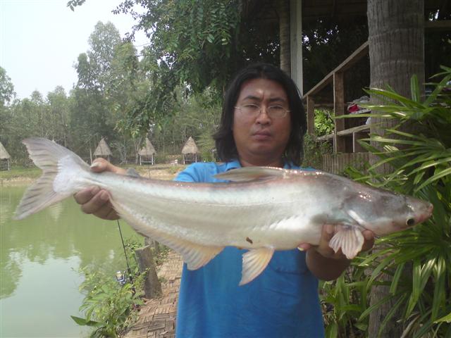 กว่าจะสุข