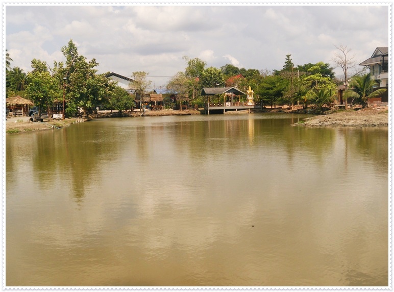 ตอนนี้ทั้งบ่อ มีผมตกคนเดียว  :umh: