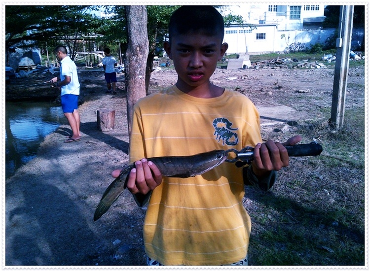 [q][i]อ้างถึง: siamhobby posted: 22-01-2555, 11:38:33[/i]

 :cheer: :cheer: :cheer: :cheer:[/q]

