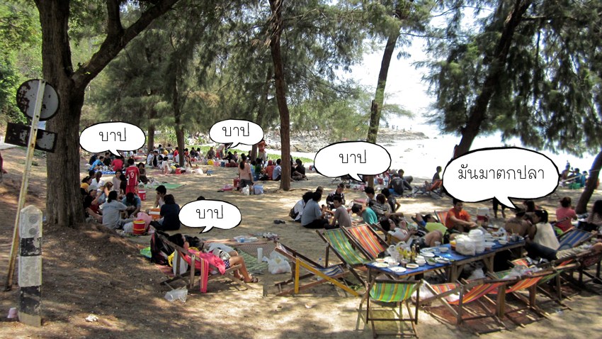 เดียวก็เลย เปลี่ยนหมายเข้าไปตาย รังที่หาดนางรำ ครับ   เห็นน้าๆที่ไปมาอาทิตย์ที่แล้วไม่ค่อยได้ตัว เลย