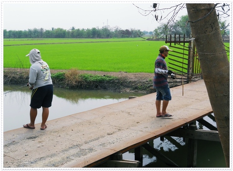 เอ้ยตรงนี้ ที่ใครรึเปล่า เดี๋ยวโดนยิงเอาหลอก

น้าเป้บอกไม่ได้เข้าไปตีแค่ตรงนี้

 :rose: :rose: :