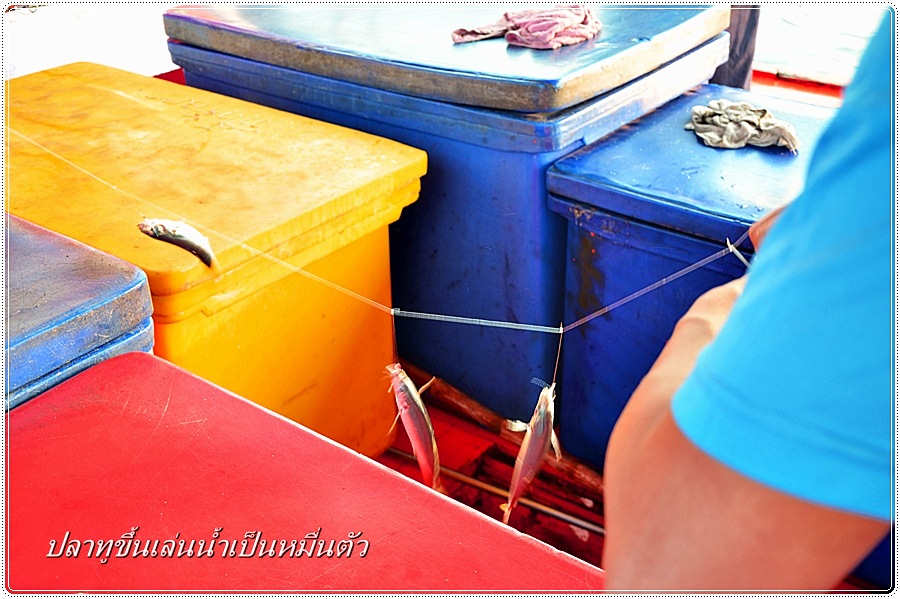 [q][i]อ้างถึง: AmPmAm posted: 09-04-2555, 10:51:12[/i]

 :cheer: :cheer: :cheer: :cheer: :cheer: :