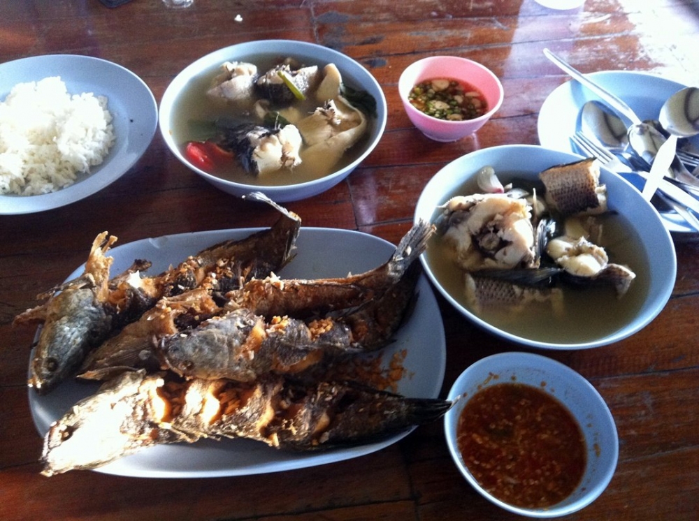 [q][i]อ้างถึง: ballycb3 posted: 11-04-2555, 15:11:53[/i]

++++ตามชมครับ :laughing: :laughing: :che