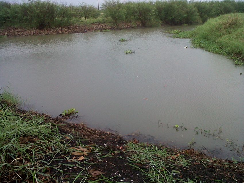 ระหว่างทาง แวะไป เที่ยว หา น้าเอ โมบาย ฝนตกพรำๆ...หมายล่อตา จัดซะหน่อย มั้ง มีตัวมั้ยหว่าาาาา :laugh