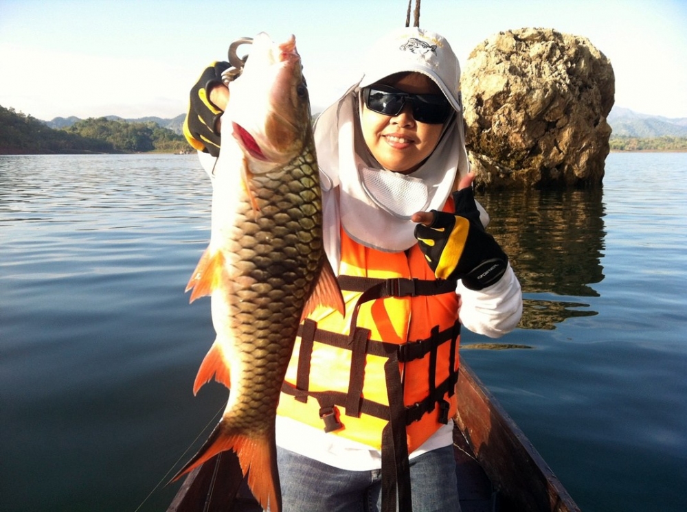 [q][i]อ้างถึง: ลุงเขียวนิ posted: 12-04-2555, 09:39:55[/i]

+1ตามชมคับ  :cheer: :cheer: :cheer: :c