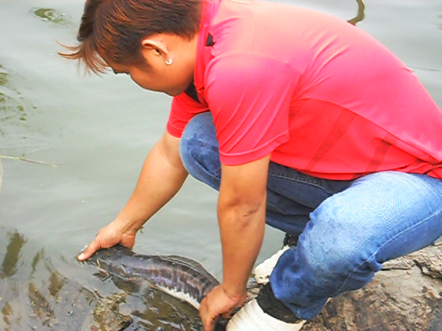 [q][i]อ้างถึง: IsSuE` posted: 12-04-2555, 10:55:15[/i]

สุดๆไปเลยพี่ กัดดีไหมบึงจำลังอะครับ :cheer