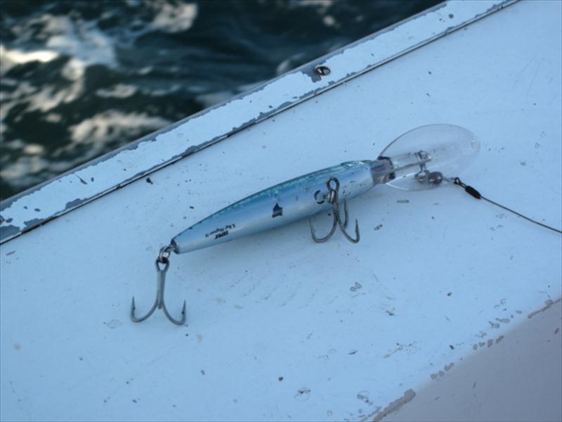 ิBy Rapala CD18