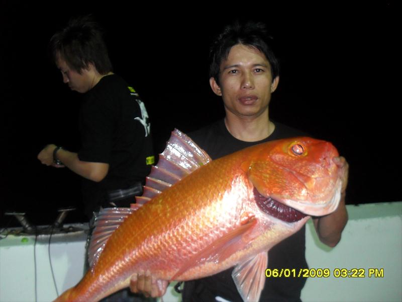 น้าปูอัดมาเรื่อยๆ