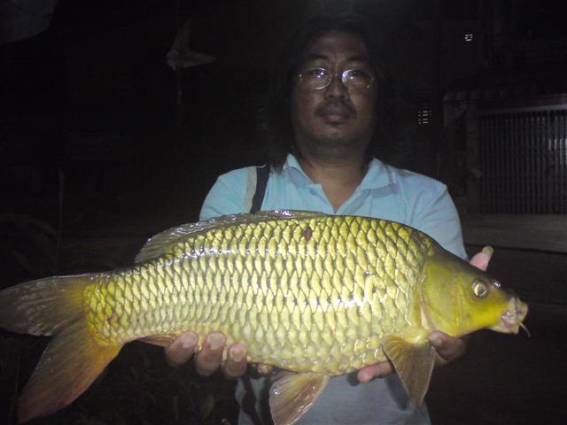 ลากันด้วยภาพนี้ครับ :smile:
ขอบคุณทุกๆท่านที่ติดตามชมครับ :prost: :prost: :prost: :prost: :prost: