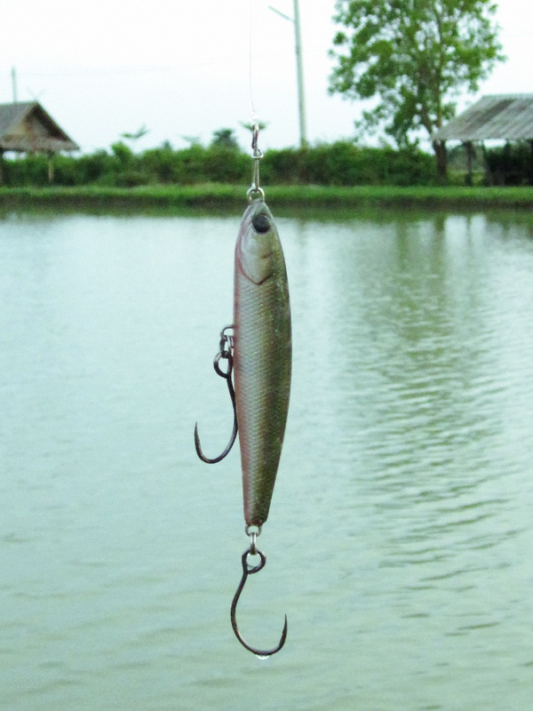 กับเหยื่อตัวโปรด North Craft ballistic minnow 80 ex 

  [b]คอยพี่ก่อน นะน้องบอล ขอดื่มอีกแป๊ปนึง[/