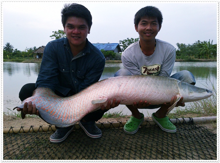  [b]แหล่ม ๆ เลย ฮ่า ๆ[/b]

 :rose: :rose: :rose: :rose: :rose: :rose: :rose: