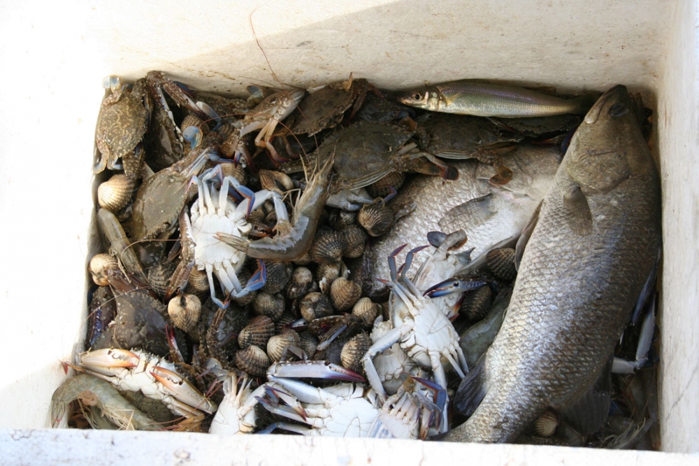  [b]กุ้ง หอย ปู ปลา [/b]เต็มเลย.. :laughing: :laughing:...เสือไม่มี... :grin: :grin: :grin: