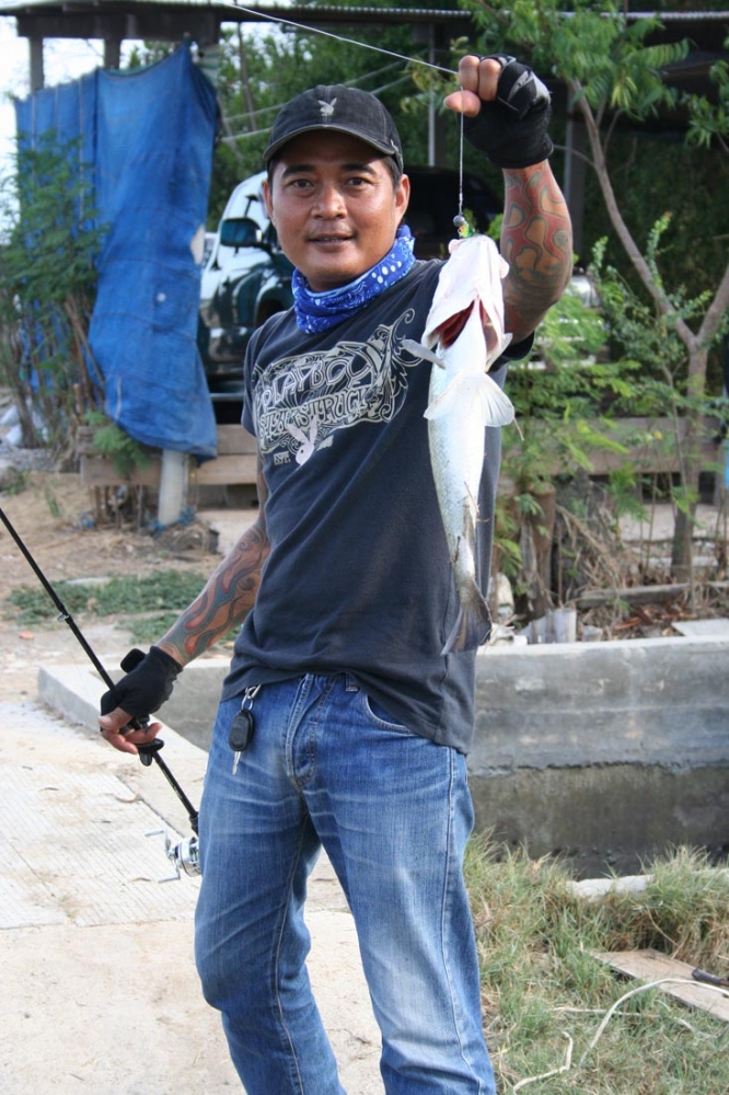  ไม่ธรรมดา.....:music: :music:... :umh: :umh:
...

 [q]อีกหนึ่ง แรงเชียร์คับผม[/q]
หวัดดีครับ น้