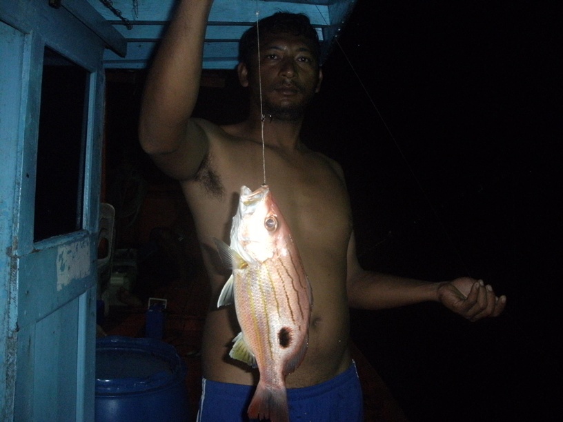 เป็นข้างปาน

