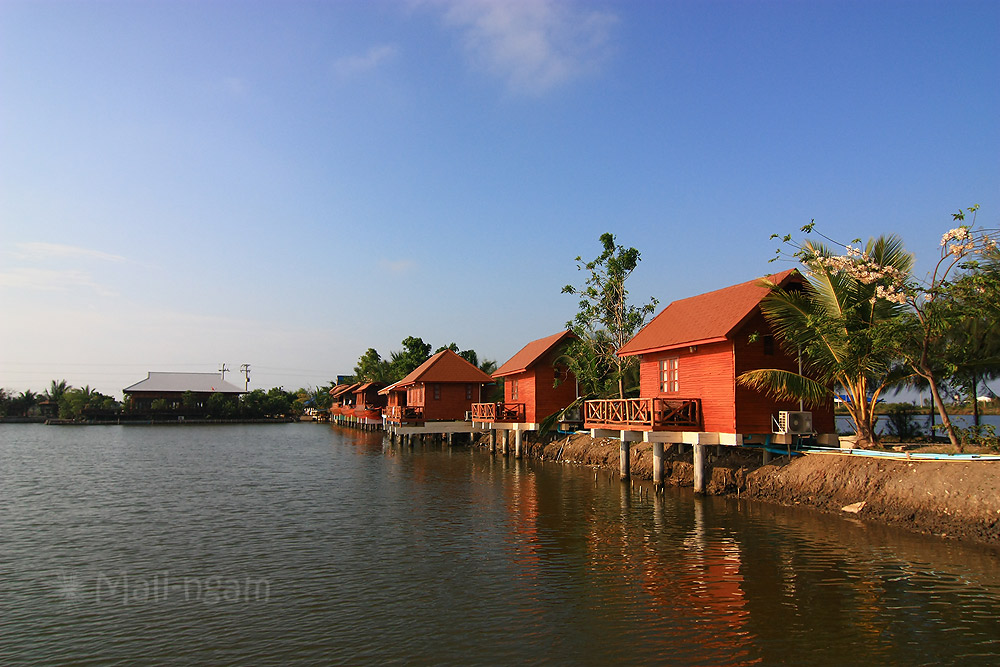 ด้านซ้ายสุดนั่น...ที่กินข้าวเมื่อคืนครับ  