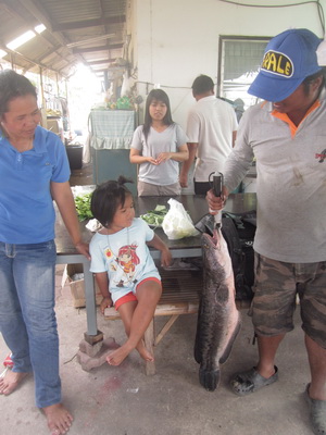 ลองเอาเทียบกับลูกสาว ครับ..กลัวซะงั้น  :laughing: :laughing: :laughing: :laughing: :laughing:
