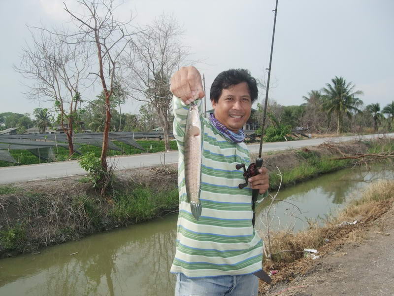 อีกตัวครับ    :laughing: :cool: :grin: