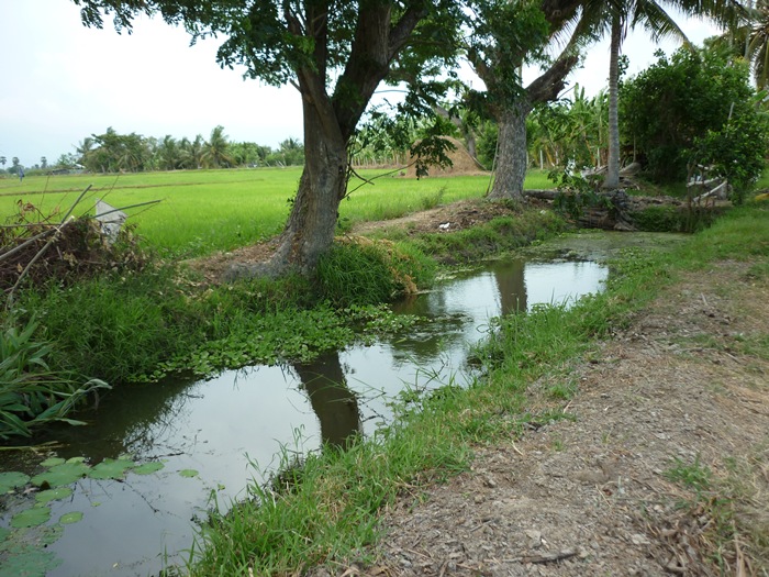 จุดนี้ กัดไม่โดนคับ :grin: