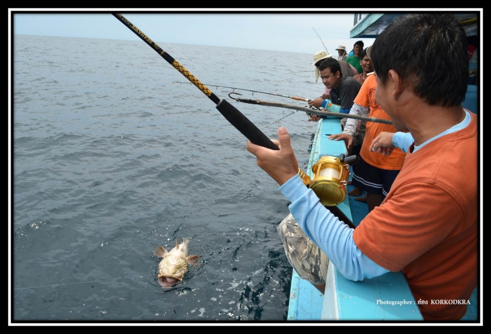 สุดท้ายก็...ขึ้นมาละครับ...เก๋าลูกหมู...เอ๊ะ...เก๋าแม่หมู...หรือเปล่านะ :laughing: