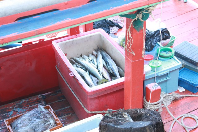 ลังท้ายเรือหลังจากละลายน้ำแข็งแล้ว