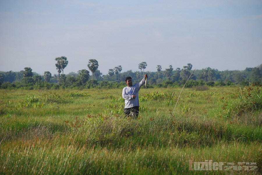 โปรอ้วน ตีตื้นมาแล้วครับ  :grin:
