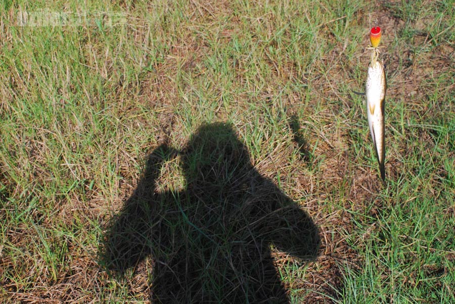 ถ่ายรูปคู่กับปลาบ้าง  :grin: