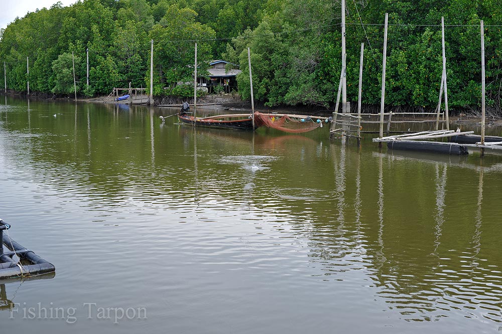 โดนอีกแล้ว